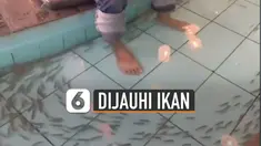 Ikan-ikan kecil tak ada satupun yang mendekati kakinya.