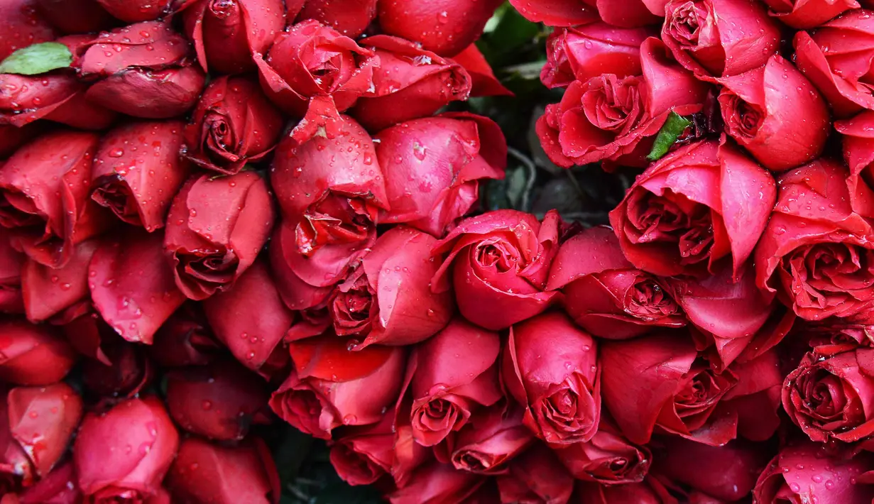 Bunga mawar terlihat di pasar bunga grosir di Kolkata, India (7/20). Jelang perayaan hari Valentine, bunga mawar banyak diburu dari tanggal 7 Februari dengan ditandai dengan Rose Day. (AFP Photo/Dibyangshu Sarkar)