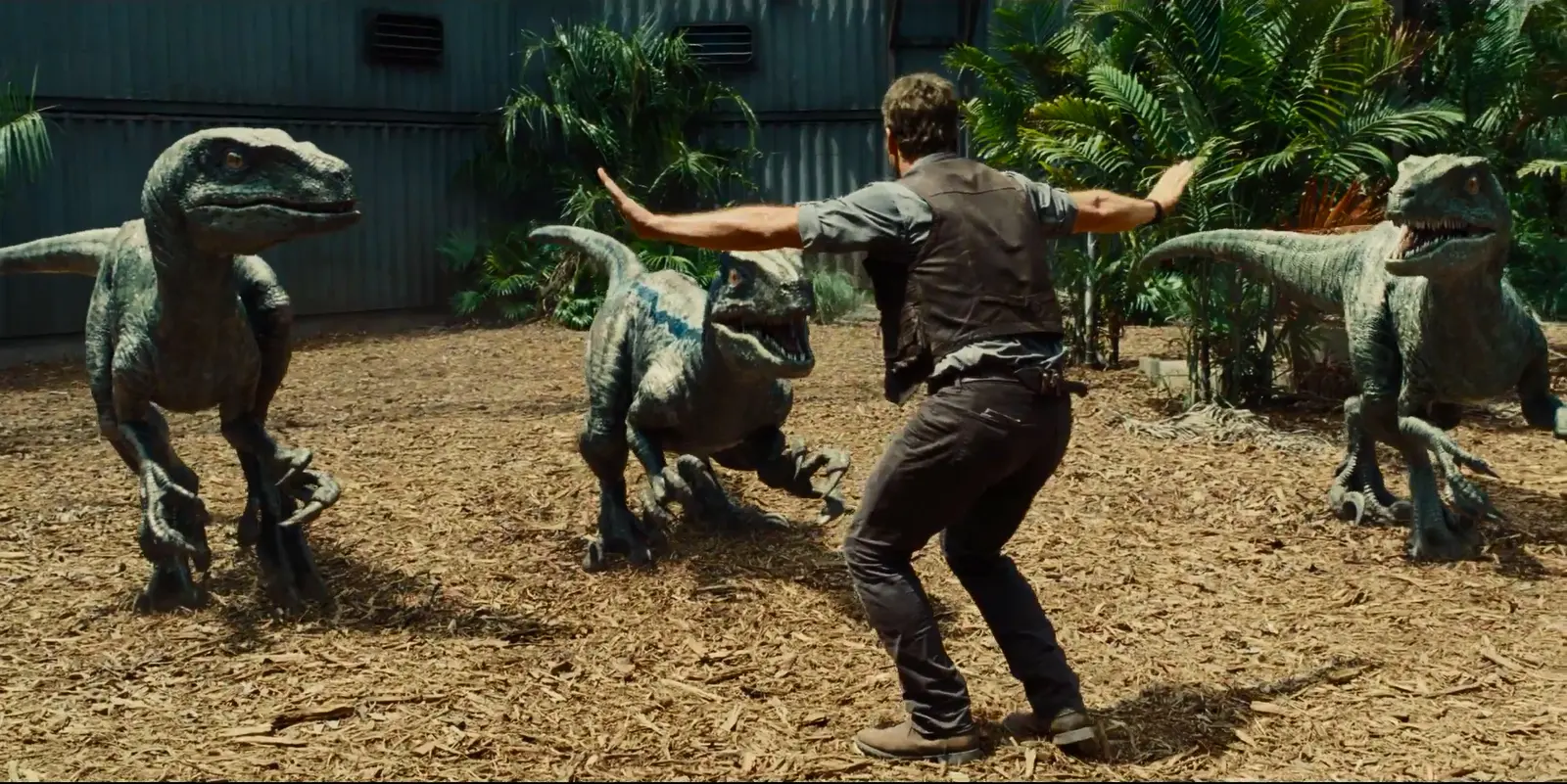 Chris Pratt dan Raptor dalam Jurassic World.