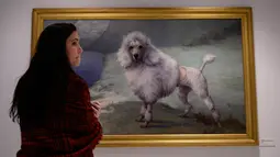 Pekerja melihat lukisan "Pudel" karya Maud Earl di museum anjing "Museum of the Dog" di New York City, 1 Februari 2019. Museum of the Dog dibuka pada 8 Februari 2019 yang berisi berbagai koleksi seni bertema anjing terbesar di dunia. (Johannes EISELE/AFP)