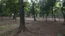 Kondisi Taman Tebet, Jakarta, Rabu (4/11/2020). Pemprov DKI juga akan menjadikan Taman Tebet Eco Garden, taman yang memiliki visi mengembalikan fungsi taman secara ekologi, menjadi sarana interaksi, edukasi, dan rekreasi bagi masyarakat DKI Jakarta. (merdeka.com/Imam Buhori)