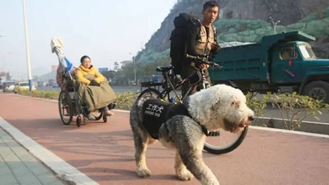 Foto: copyright chinadaily.com.cn