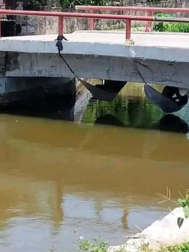 6 Tempat Rebahan Santai Ini Juga Bisa Jadi Markas Sembunyi, Kocak