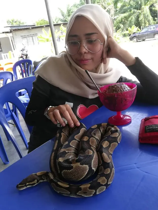 Gunakan Sendok, Wanita Ini Bisa Kalahkan Ular Kobra