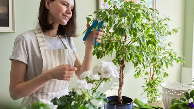 [Fimela] 3 Alternatif Kegiatan Ketika Sahabat Fimela Bosan Nonton Drama Korea