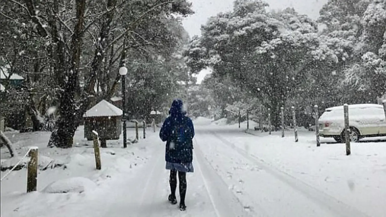 Musim dingin Australia (0)
