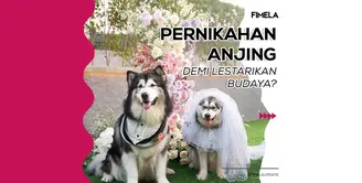 Viral berita pernikahan 2 ekor anjing yang diselenggarakan di PIK, Jakarta. Berikut 3 fakta kejadian langka tersebut dilansir dari berbagai sumber.