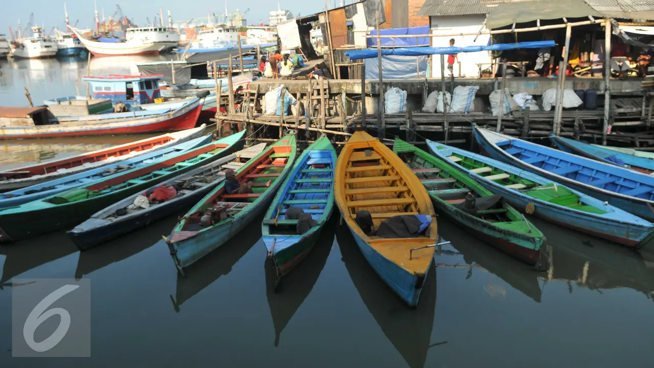 Kampung Aquarium