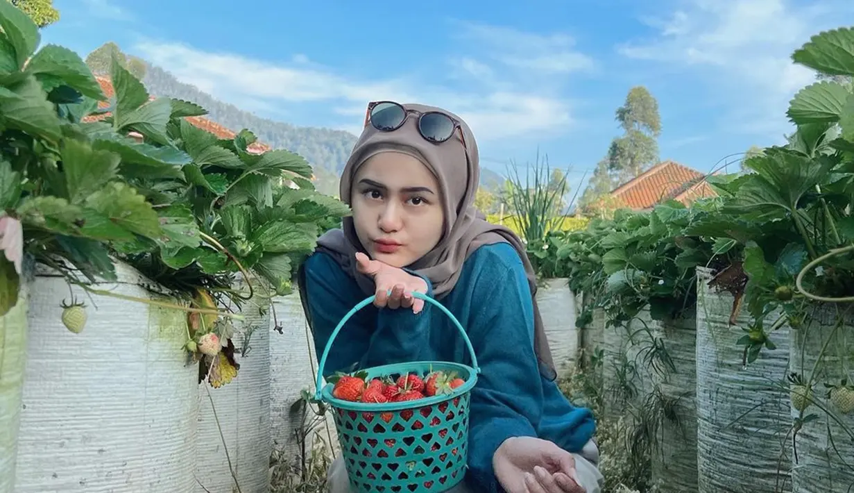 Selebgram hits dengan jumlah followers 1,7 juta ini selalu tampil menawan di berbagai momen. Seperti momen liburan santai di area pegunungan untuk memetik stroberi. Gaya santainya saat memetik stroberi tetap cantik memesona meskipun tampil simpel. (Liputan6.com/IG/@alifhiafitri)