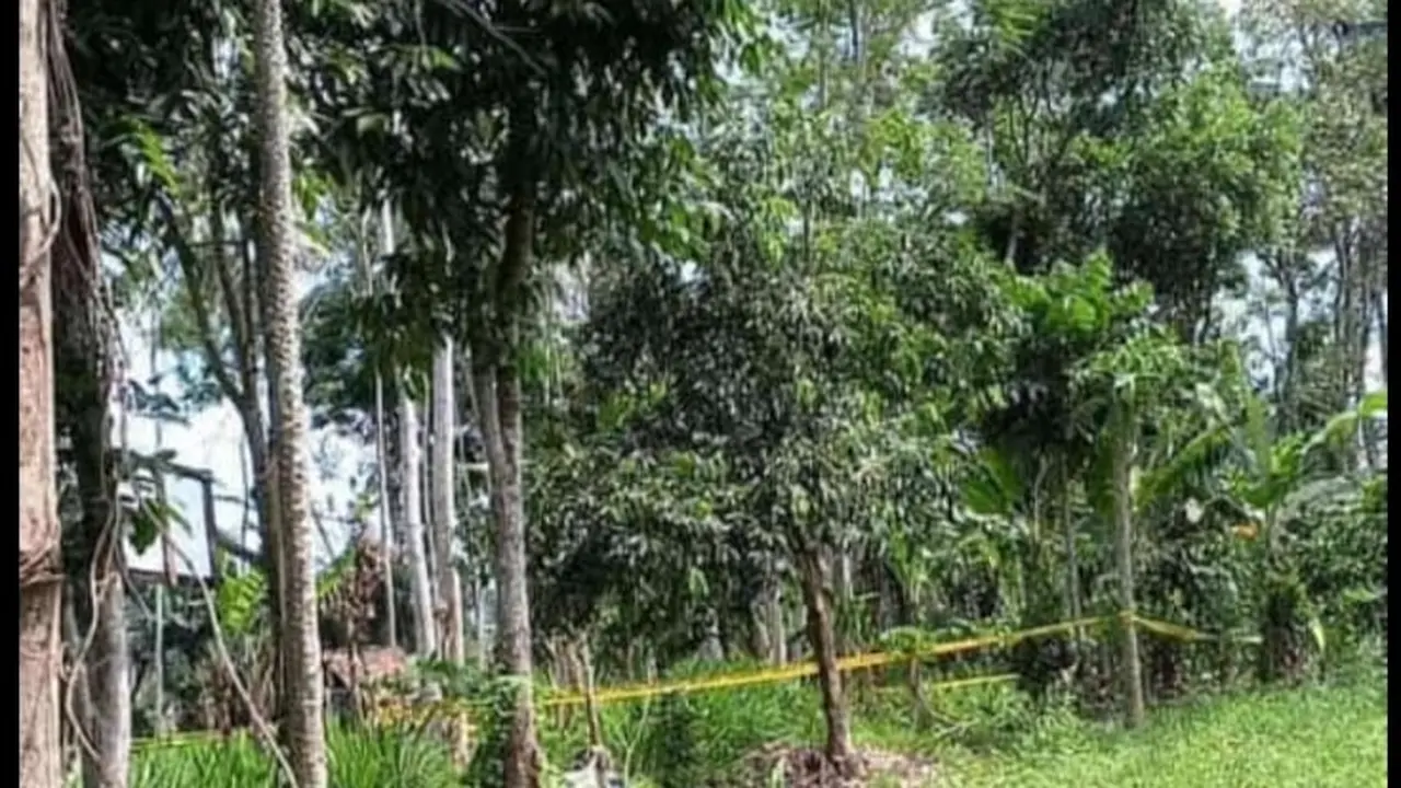 Lokasi pembunuhan dan pemerkosaan CNA anak usia 7 tahun di Desa Kalibaru Manis, Banyuwangi diberi pagar pembatas guna kepentingan penyelidikan (Istimewa)