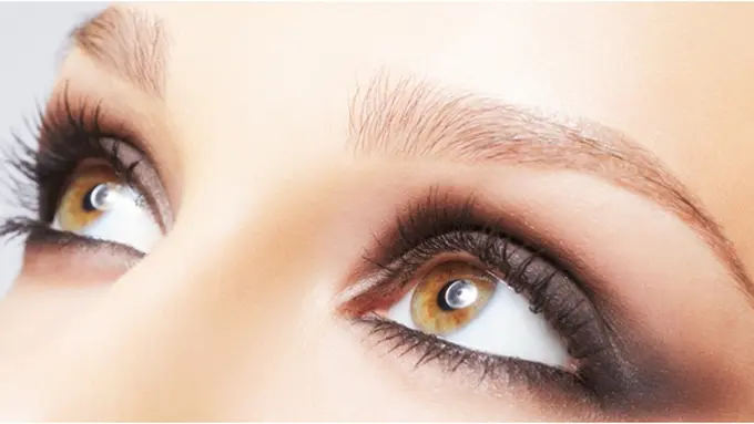 Courtesy ShutterStock.com