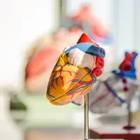 Jantung sehat kolesterol juga aman (Foto: Unsplash.com/jesse orrico)