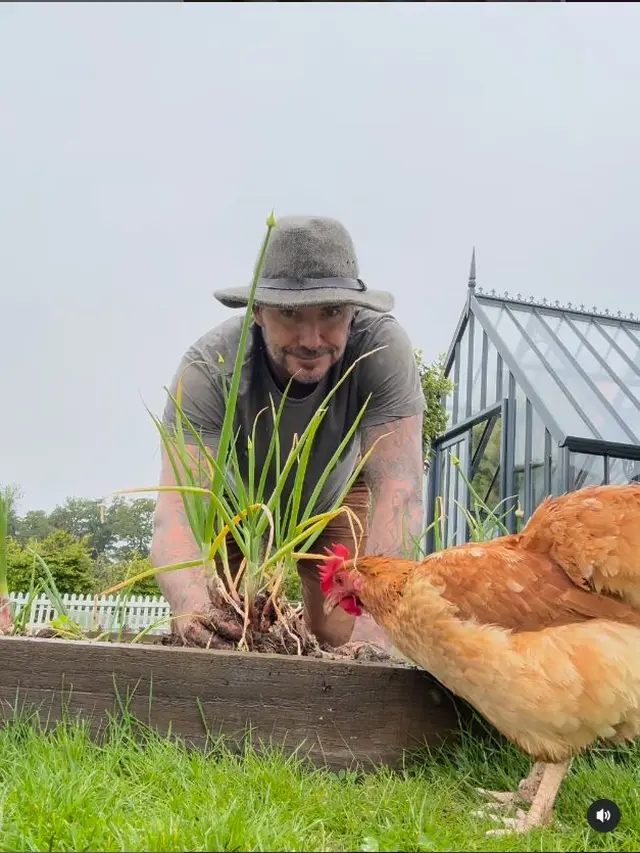 6 Potret David Beckham saat Berkebun, Panen Daun Bawang untuk Victoria