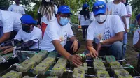 Transplantasi Terumbu Karang Di Pantai Carita, Kabupaten Pandeglang, Banten. (Rabu, 21/10/22). (Dokumentasi Pertamina MOR III)