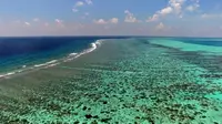 Google Street Merambah Dunia Bawah Air 