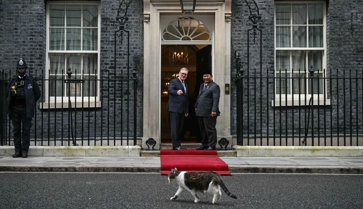 Suasana kian hangat dengan hadirnya momen unik ketika Larry the Cat, Chief Mouser to the Cabinet Office sejak 2011, melintas di depan kedua pemimpin negara tersebut. Tampak dalam foto, Larry the Cat (depan) berjalan melewati Perdana Menteri Inggris Keir Starmer (kedua kiri) saat menyambut Presiden Indonesia Prabowo Subianto di Downing Street untuk pertemuan mereka di pusat kota London pada 20 Januari 2026. (JUSTIN TALLIS/POOL/AFP)
