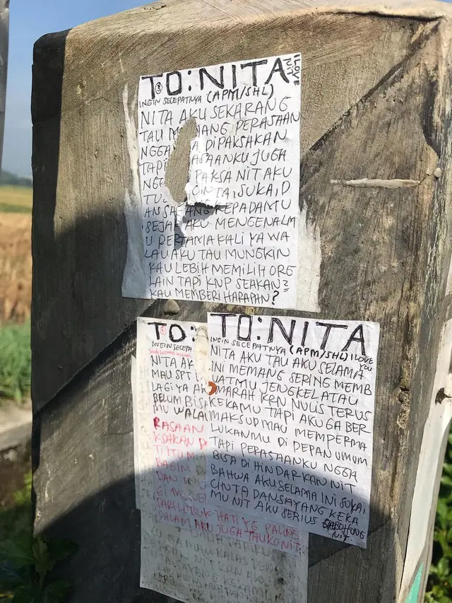 Kelewat Bucin, Pria Ini Tulis Surat Cinta yang Ditempel di Dinding Dekat Sawah
