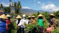 Dinas Pertanian dan Ketahanan Pangan Provinsi Bali melakukan Gerakan Panen Kacang Tanah, di Kelompok Tani Lembu Bang, Desa Tukad Sumaga, Kecamatan Grokgak, Buleleng, Jumat (4/9/2020).