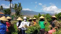 Kacang Tanah Buleleng Potensial untuk Dikembangkan