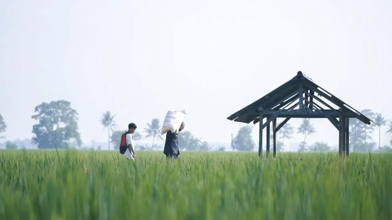 Stok Pupuk di Indramayu Cukup, Kementan Ajak Petani Optimalkan Masa Tanam Padi