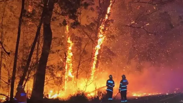 Kebakaran hutan di Australia kian meluas.