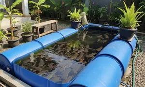 Cara Membuat Kolam Lele dari Drum Plastik Bekas. (Foto: AI)