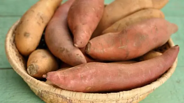 4 Makanan Untuk Kulit Lebih Muda