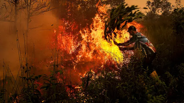 Sebaran Karhutla Hari Ini, Kalteng Catat 8.608 Titik Panas
