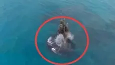 Misteri Daratan Baru di Dekat Anak Krakatau
