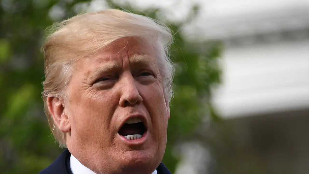 Gaya Donald Trump Saat Tanam Pohon Pemberian Presiden Prancis