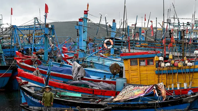 Antisipasi Terjangan Topan Kalmaegi, Nelayan Vietnam Tambatkan Perahu