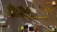 [VIDEO] Angin Kencang Melanda, Sydney Berantakan