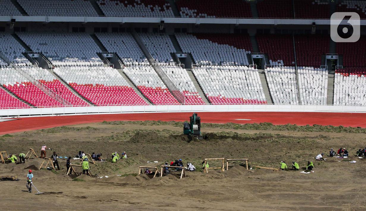 Pengelola GBK menegaskan revitalisasi rumput lapangan dilakukan untuk memberikan kualitas terbaik bagi Timnas Indonesia yang menjadi tuan rumah pertandingan di Babak Ketiga Kualifikasi Piala Dunia 2026. (Liputan6.com/Herman Zakharia)