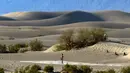 <p>Taman Nasional Death Valley dibuka pada 24 Oktober 1994 dan merupakan taman nasional terbesar di 48 negara bagian Amerika Serikat. (AP Photo/Ty ONeil)</p>