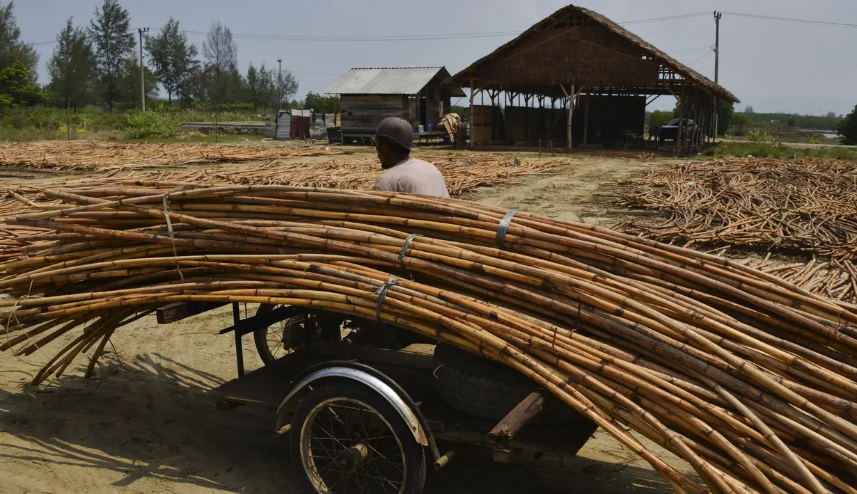 Seorang pekerja mengangkut rotan untuk ekspor di sebuah bengkel di Banda Aceh (16/10/2019). Aceh merupakan salah satu sentra produksi rotan terbesar di Sumatera. (AFP Photo/Chaideer Mahyuddin)