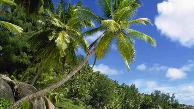 ilustrasi copyright prepare-and-protect.net