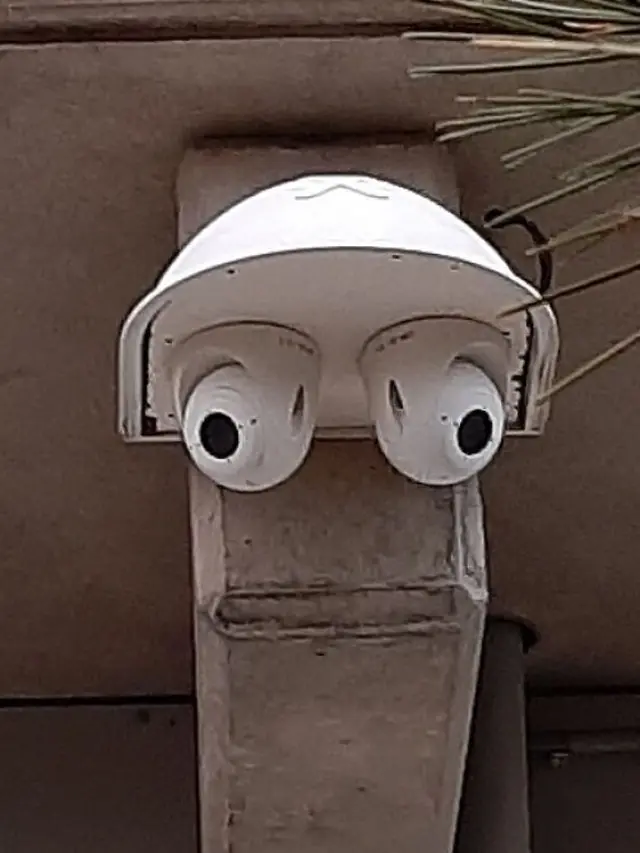 8 Potret Pareidolia dalam Benda Ini Bikin Mata Terkecoh