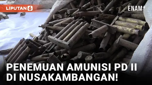 VIDEO: Viral! Ribuan Amunisi Bekas Perang Dunia Ditemukan di Nusakambangan