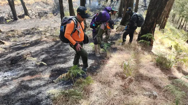 Dua Bulan Berturut Gunung Arjuno Dihajar Bencana Kebakaran