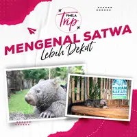 Fimela Trip Taman Safari