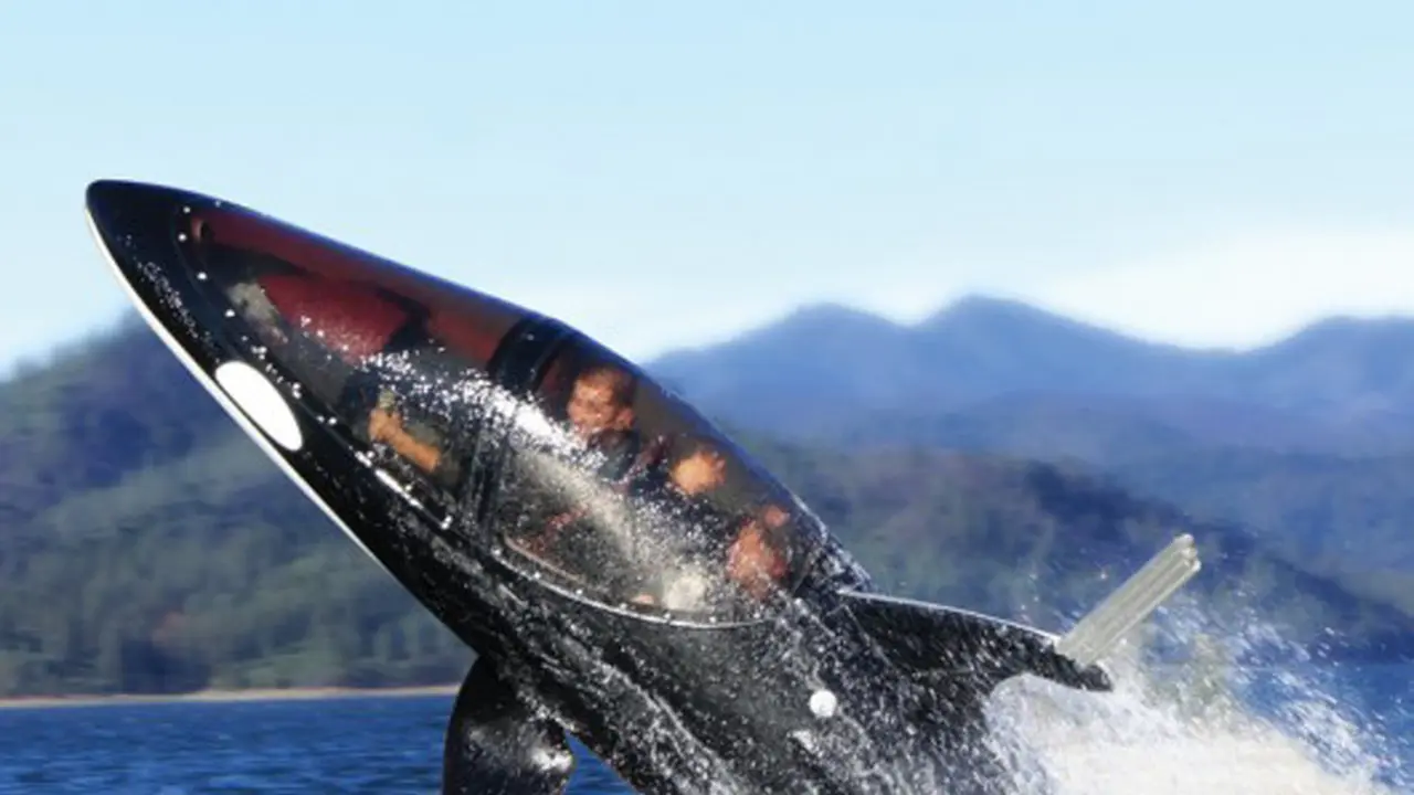 Seabreacher