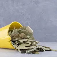 Ilustrasi&nbsp;Daun Salam / Freepik by azerbaijan_stockers