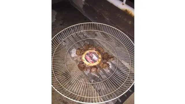 6 Potret Tutup Kipas Angin Buat Pengganti Piring Ini Nyeleneh, Kocak