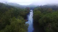 Hutan dan sungai Batang Kawa di wilayah adat Kinipan di Desa Kinipan, Kecamatan Batang Kawan, Kabupaten Lamandau. (Liputan6.com / Save Our Borneo)