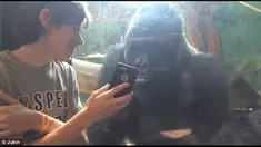 Kecanduan teknologi /khususnya smartphone ternyata tidak hanya dialami oleh manusia// 