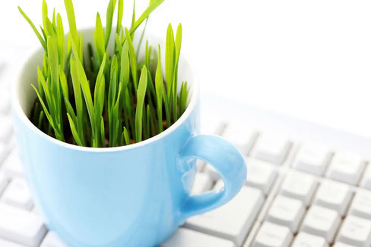 Foto: Copyright Shutterstock.com