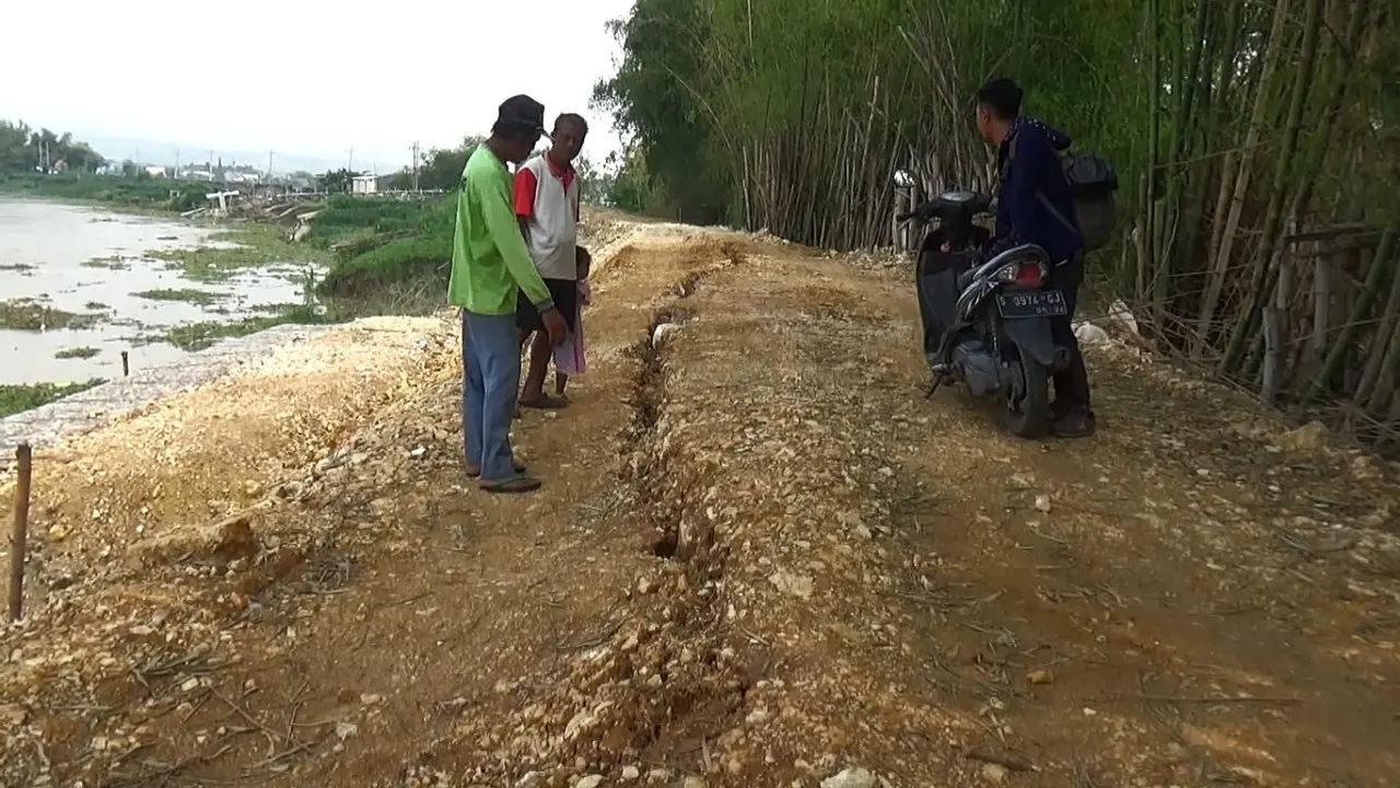 Tanggul Bengawan Solo, yang berada di Desa Sembungrejo, Kecamatan Plumpang, Kabupaten Tuban kembali ambles dan retak lebih dari 100 meter. (Foto: Liputan6.com/Ahmad Adirin)