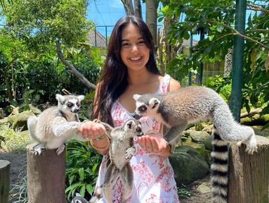 Aurelie Moeremans memang sangat menyukai dengan binatang. Seperti saat ia berkunjung di Bali Zoo. Ia tak ragu untuk bercengkerama dengan hewan asli Masdagaskar, Lemur ekor cincin. (Liputan6.com/IG/@aurelie)