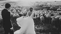 Foto pra-wedding di antara kawanan domba (sumber Cosmopolitan.com)