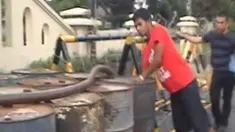 liputan6